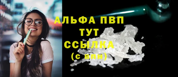 spice Сясьстрой