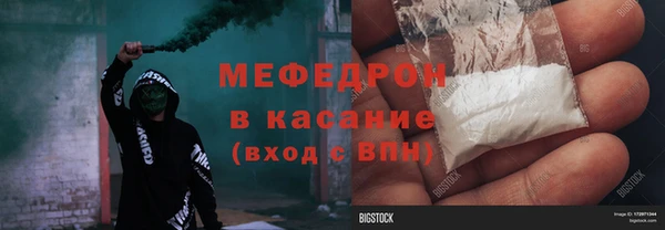 шишки Тавда