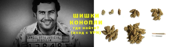 ECSTASY Белокуриха