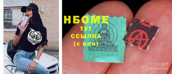 шишки Тавда