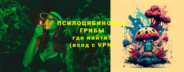 ECSTASY Белокуриха