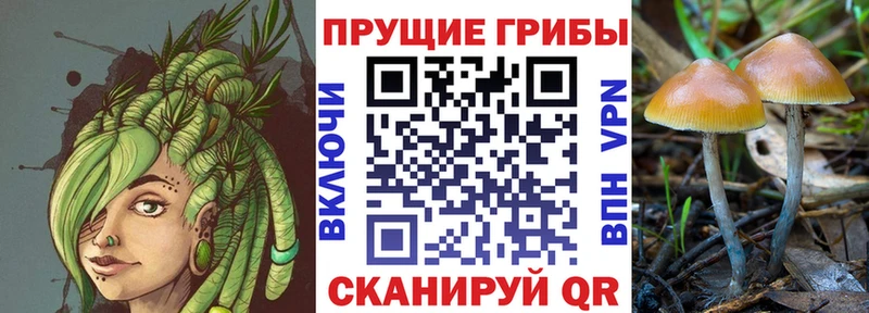 Галлюциногенные грибы мицелий  Ворсма 